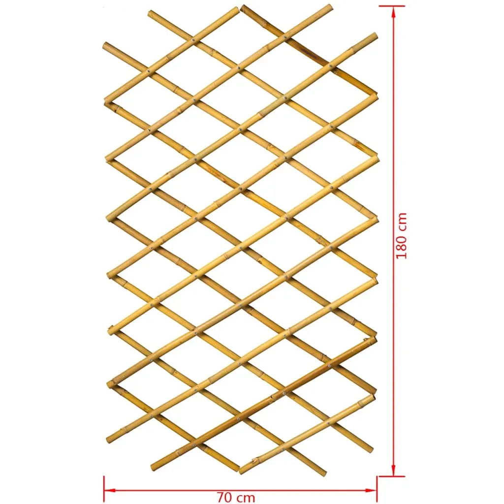 Nature Garden Trellis 70x180 cm Bamboo 6040721