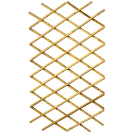 Nature Garden Trellis 70x180 cm Bamboo 6040721