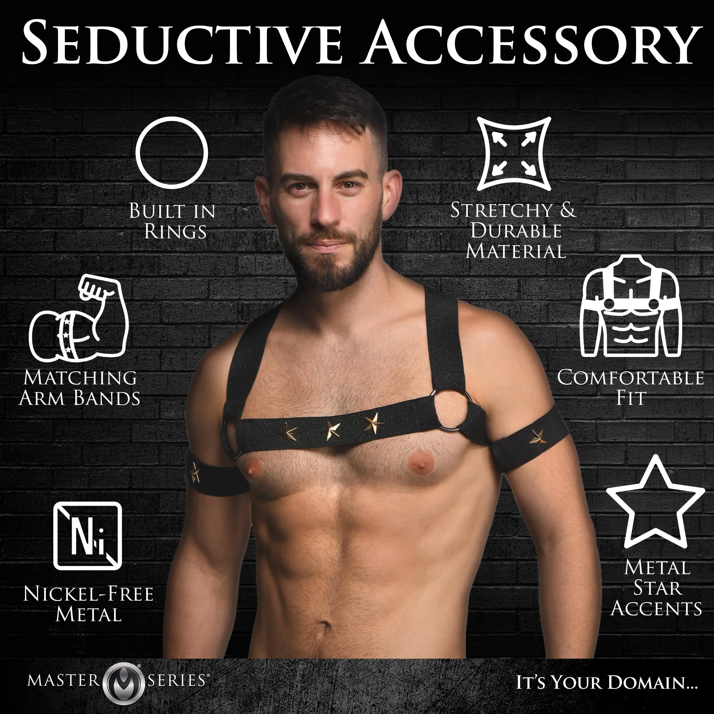 Stretchy Harness and Armbands